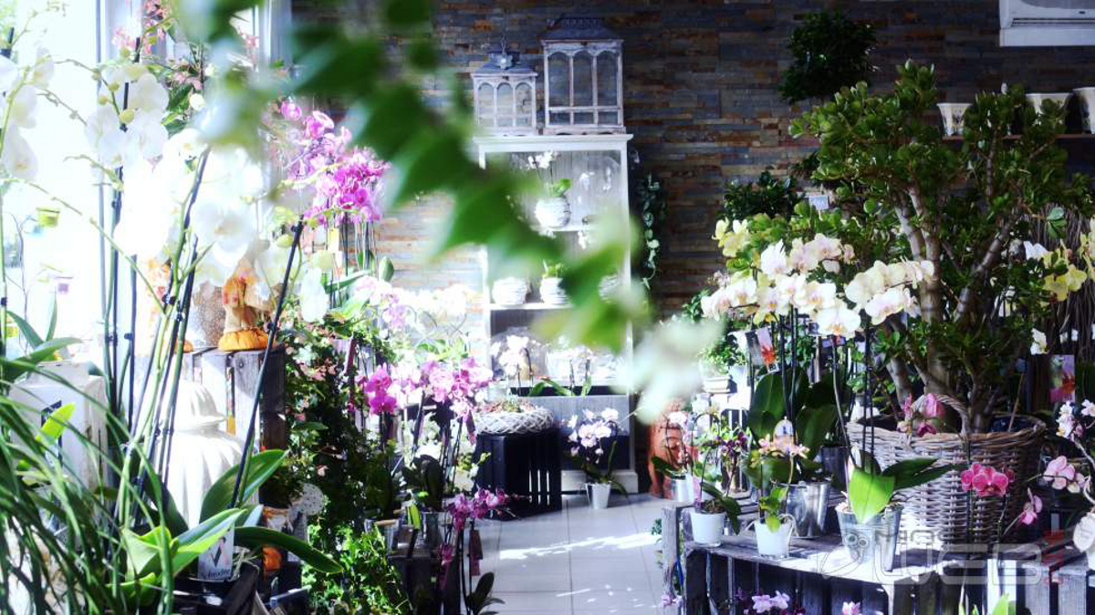 CASR , Cabinet d\u0027Affaires Saint,Rémi , Fleurs et Décoration