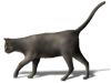 Captcha image 2212