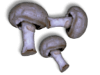 Captcha image 2360