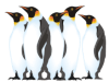 Captcha image 2517